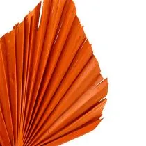 Artikel Palmspear Orange 65 St