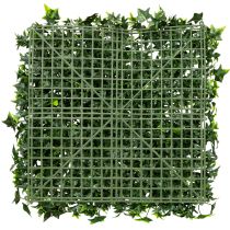 Artikel Künstliche Efeumatte 60x60 cm grün für Wandgestaltung