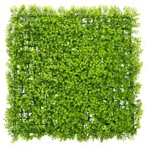 Artikel Kunstpflanze Buchsbaum Matte 55x55 cm für dekorative Wandgestaltung