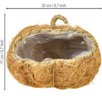 Artikel Pflanzkorb Kürbis Herbstdeko Orange Ø22cm H17cm
