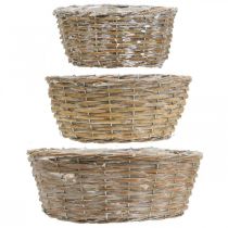 Artikel 3er Set Weidenkorb Pflanzkorb Dekokorb Weiß Gewaschen Vintage Ø21,5/26/31cm für Heim und Garten