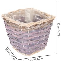 Artikel Pflanzkorb quadratisch mit Folie Dekorativer Übertopf 14cm 4St