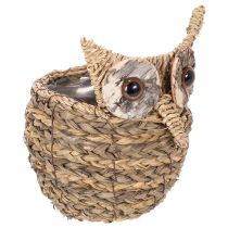 Artikel Korb Deko Eule handgeflochten für Fensterbank 18cm