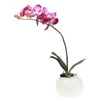 Floristik24 Künstliche Orchideen im Topf Phalaenopsis Kunstblumen Orchideen Pink 34cm
