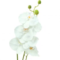 Orchidee Phalaenopsis künstlich Weiß 80cm