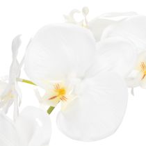 Artikel Kunstpflanze Orchidee täuschend echt für Büro und Wohnzimmer Dekoration 62cm