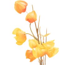 Artikel Lampionblume künstlich Physalis Zweig mit Blüten 95cm