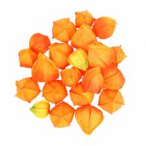 Physalis Orange Sortiert 22St Deko-Blütenkelche künstlich