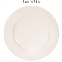 Artikel Teller rund schlicht Dekoration und kleine Gestecke 17cm 6St