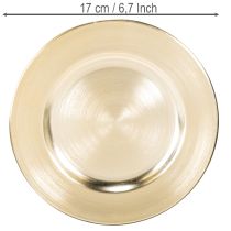 Artikel Teller Dekoration klein rund glänzend 17cm 6St
