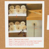 Artikel Trockenblumen Riesen Pusteblume Deko Edles Wohnaccessoire 12cm 4St