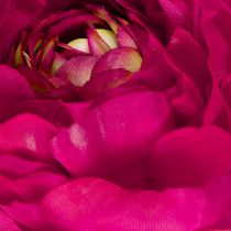 Artikel Kunst Ranunkel als Einzelblume für zeitlose und vielseitige Raumgestaltung 51cm 3St