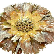 Artikel Repens Rosette Grün gefrostet 8cm - 9cm 25 St