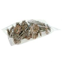 Artikel Repens Rosette 6-7cm Weiß gewaschen 25 St