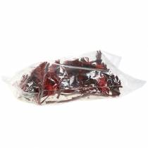 Artikel Repens Rosette Rot 8cm - 9cm 25 St