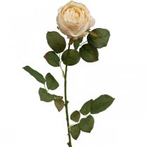 Artikel Rose Cremefarben, Seidenblume, künstliche Rose L74cm Ø7cm