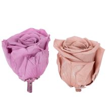 Artikel Rosenköpfe konserviert Romantisches Geschenk lang haltbare Rosen für besondere Anlässe 5cm 6St