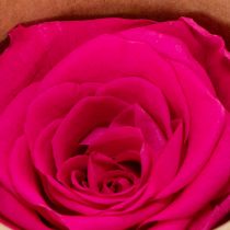 Artikel Konservierte Rosen Deko Echte Blumen für Tischdeko einzigartige und nachhaltige Blüte 5cm 6St