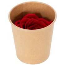Artikel Konservierte Rosen Dekorativer Romantik Akzent für Wohnräume oder Hochzeiten 5cm 6St