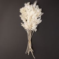 Artikel Ruscus Zweige Dekozweige Trockenblumen gebleicht 10 St