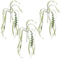 Artikel Sägeblattkaktus Künstlich Epiphyllum anguliger L68cm 3 St