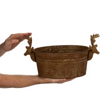 Artikel Dekoschale Rentierkopf oval Rost rustikal 41cm
