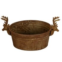 Artikel Dekoschale Rentierkopf oval Rost rustikal 41cm