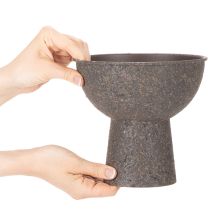 Artikel Schale für Pflanzen rund mit Sockel 18cm