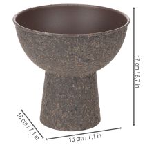 Artikel Schale für Pflanzen rund mit Sockel 18cm