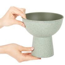 Artikel Pflanzschale auf hohem Fuß modern rund 18cm