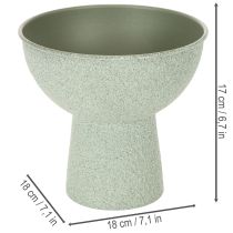Artikel Pflanzschale auf hohem Fuß modern rund 18cm