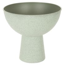 Artikel Schale mit Standfuß für Pflanzen Dekoschale 25cm