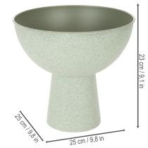 Artikel Schale mit Standfuß für Pflanzen Dekoschale 25cm