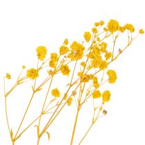 Artikel Trockenblumenstrauß Schleierkraut Dekorative Blütenzweige passend zur saisonalen Tischdekoration 70cm