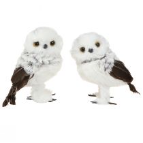 Artikel Schneeeule Deko Figur Eulen Paar Weiß Braun H12cm 2St