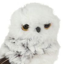 Artikel Schneeeule Deko Figur Eulen Paar Weiß Braun H12cm 2St