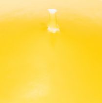 Artikel Schwimmkerze Schwimmendes Deko-Element vielseitig einsetzbar in Haus und Garten 8cm 8St