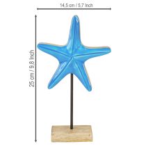 Artikel Seestern Deko auf Sockel Maritim Natur Blau Holz H25cm