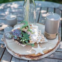 Artikel Noppen Seestern Weiß 30St