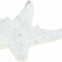Artikel Noppen Seestern Weiß 30St