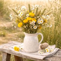 Artikel Borstenhirse Setaria Trockenblumen für rustikale und stilvolle Wohnaccessoires 75cm 220g