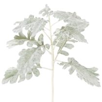 Artikel Künstlicher Senecio Zweig Greiskraut detailreich gearbeitet 45cm 3St