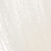 Artikel Trockenblumen Silbergras Elegante natürliche Dekoration für Zuhause und Büro 70cm 10St
