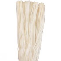 Pflanzliche Naturfasern Skeletonband Naturband Deko 180g