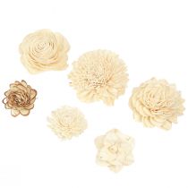 Artikel Sola Blumen Holz Holzblumen Deko Mix Creme 6-11cm 12-15 St