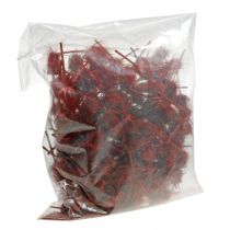 Artikel Spitzkarden rot 1kg