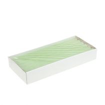 Artikel Stabkerzen durchgefärbt Lime Grün 21×240mm 12 St