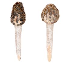 Artikel Künstlicher Morchel Pilz Deko Stecker für Pflanztöpfe und Tisch 13cm 2St