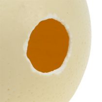 Artikel Straußenei Natur ausgeblasen leer Dekoration