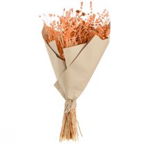 Artikel Boho Trockenblumenstrauß Orange Apricot Deko 45cm 80g